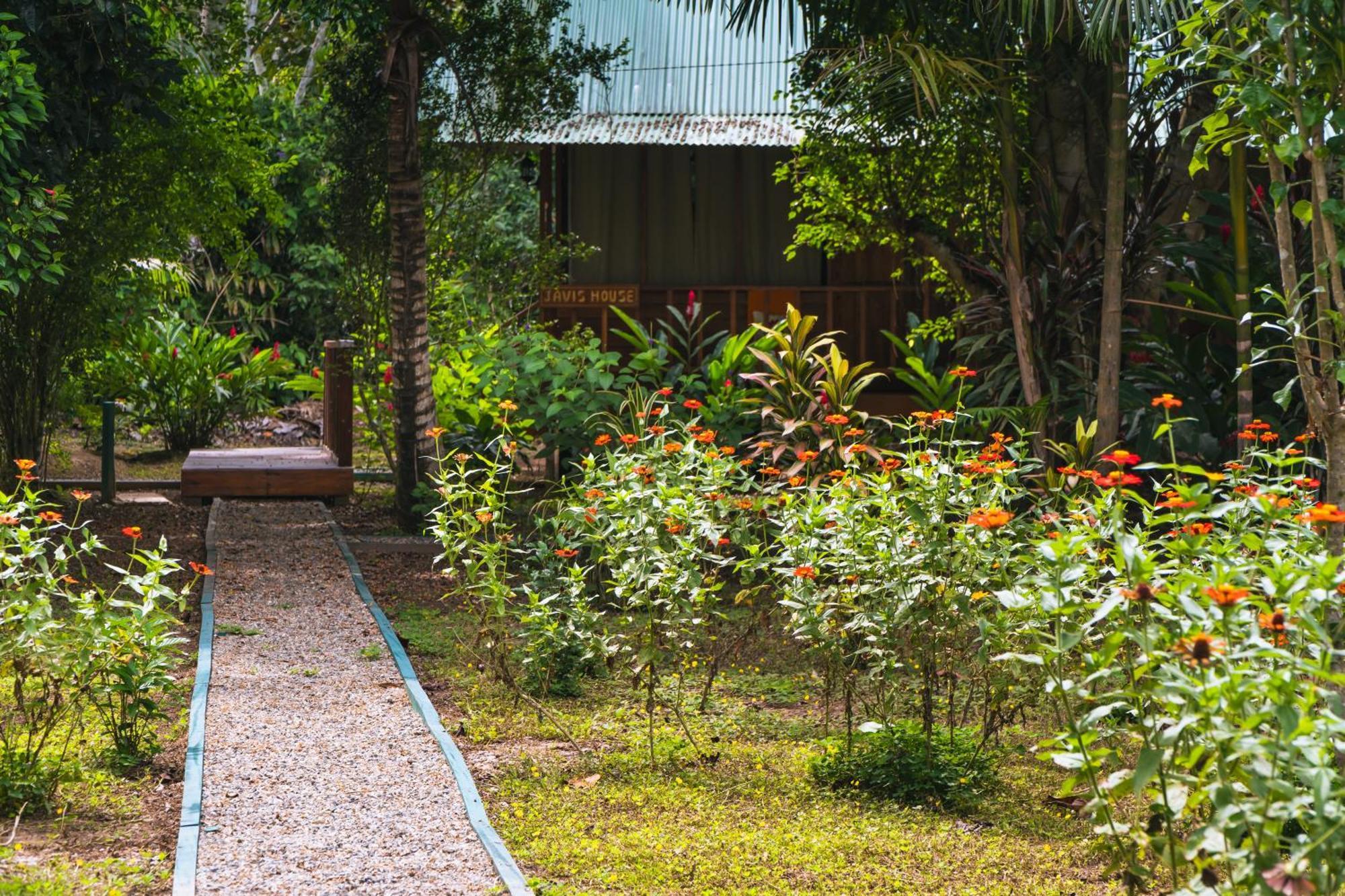 Passiflora Lodge Tambopata Puerto Maldonado Extérieur photo